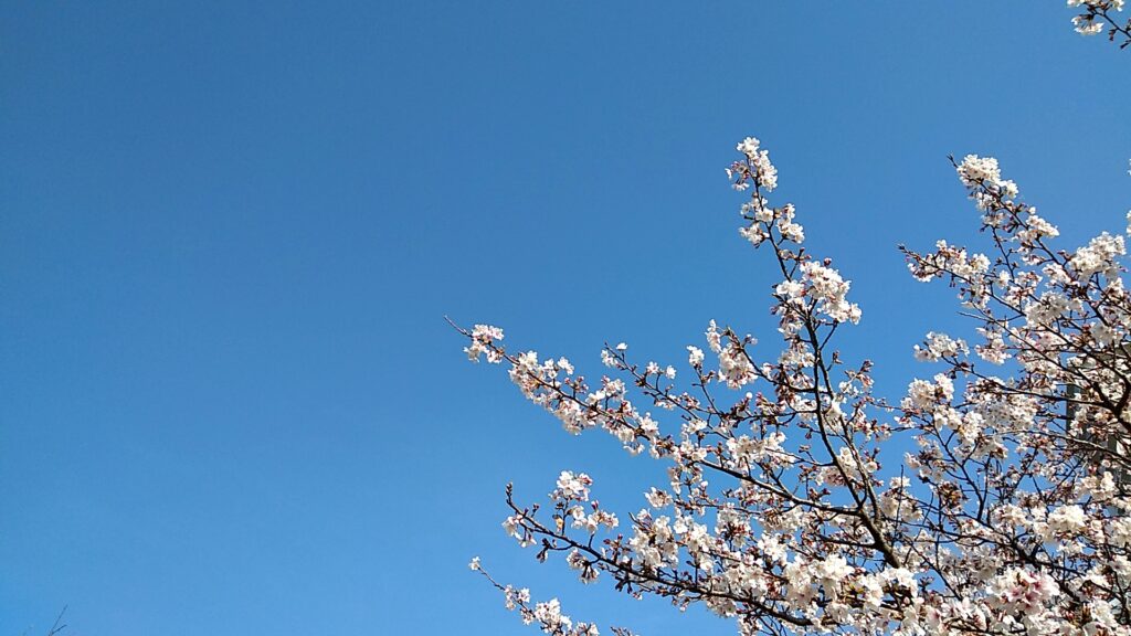 起業支援サービス